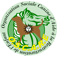 O.S.C.A.R.E.